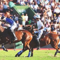 Poroto Cambiaso