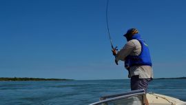 La medida fue tomada para proteger a las especies de interés comercial y deportivo.