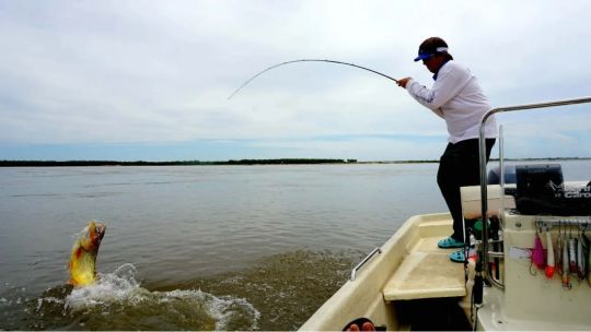 Por la bajante del río Uruguay, decretan la veda de pesca en Misiones