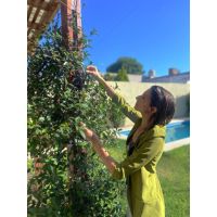 ANDREA BALDONI: BIOFILIA, La importancia de la naturaleza en los ambientes