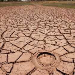 Es el tercer año consecutivo de sequía en la Argentina.