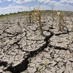 El 22,19% (555.812 km2) se encuentra atravesando una sequía moderada.