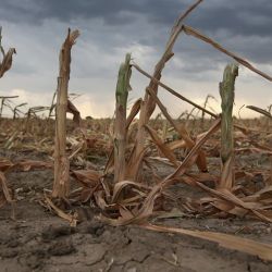 El 14,39% (360.466 km2) está en una situación de sequía severa.