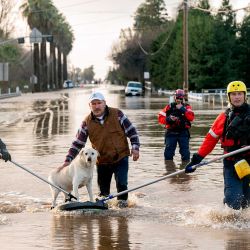 Los bomberos de San Diego ayudan a Humberto Maciel a rescatar a su perro de su casa inundada en Merced, California. Foto de JOSH EDELSON / AFP | Foto:AFP