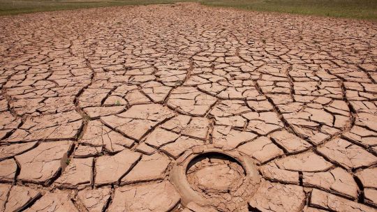 Alarma máxima: cerca del 55% de la superficie de la Argentina está afectada por la sequía