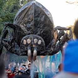 Se ve una araña gigante durante el desfile de Insectos de Producciones Sarruga durante el festival internacional "Teatro a Mil" en Santiago, Chile. Foto de JAVIER TORRES / AFP | Foto:AFP