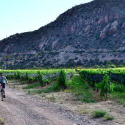La provincia de La Rioja tiene grandes atractivos para disfrutar durante el verano, incluida La Chaya.