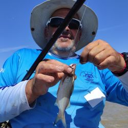 En la Asociación Argentina de Pesca la 69 edición de un clásico porteño, “Las 20 Horas del Plata”, dio inicio a la temporada con muy buenos resultados.