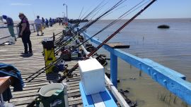 En la Asociación Argentina de Pesca la 69 edición de un clásico porteño, “Las 20 Horas del Plata”, dio inicio a la temporada con muy buenos resultados.