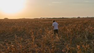 Record Draughts Affect Agriculture Production In Argentina