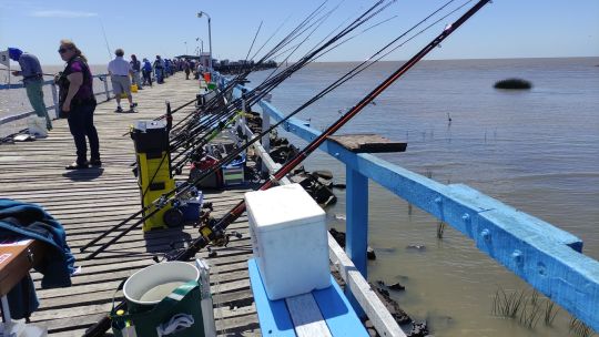 01_17TorneoXXHorasDelPlata