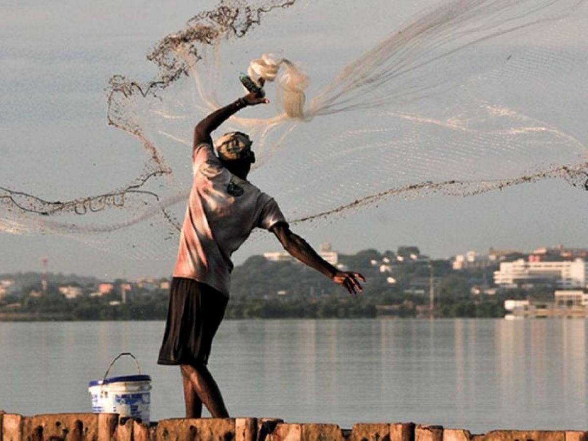 Atarrayas Para Pesca En Rio