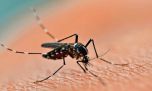 Un intendente santafesino atendió pacientes por el desborde de casos de dengue
