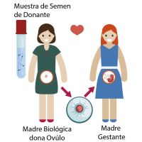 Mi experiencia en Método ROPA