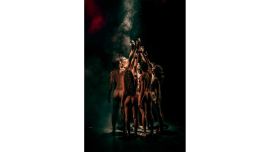 La lección de anatomía