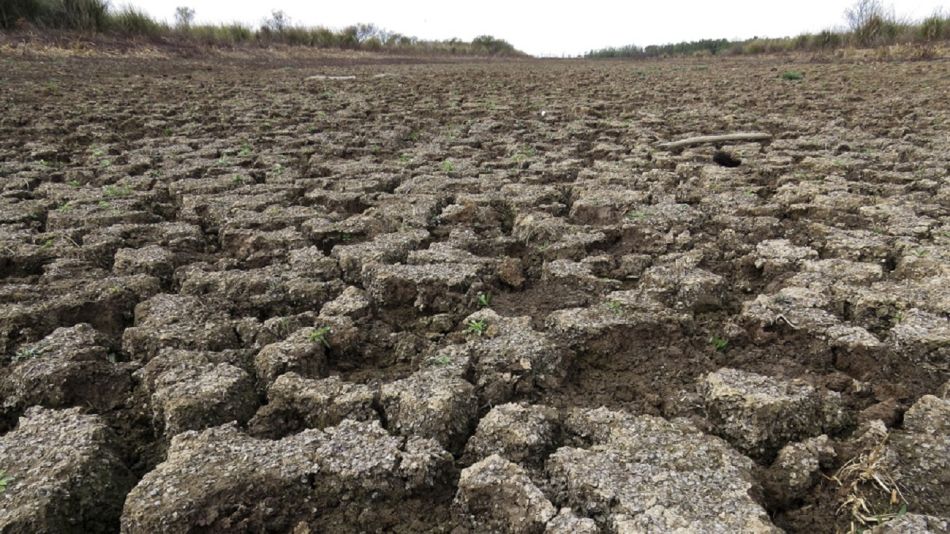 La grave sequia que afecta al campo