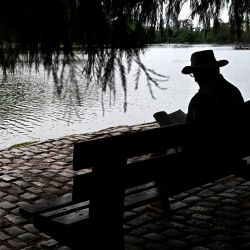 Un hombre lee un libro en el lago Regatas en Buenos Aires. Foto de Luis ROBAYO / AFP | Foto:AFP