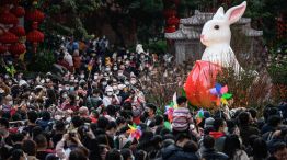 Año nuevo Chino Conejo de agua