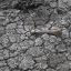 Argentina to face deeper 2023 contraction on drought, Itaú says