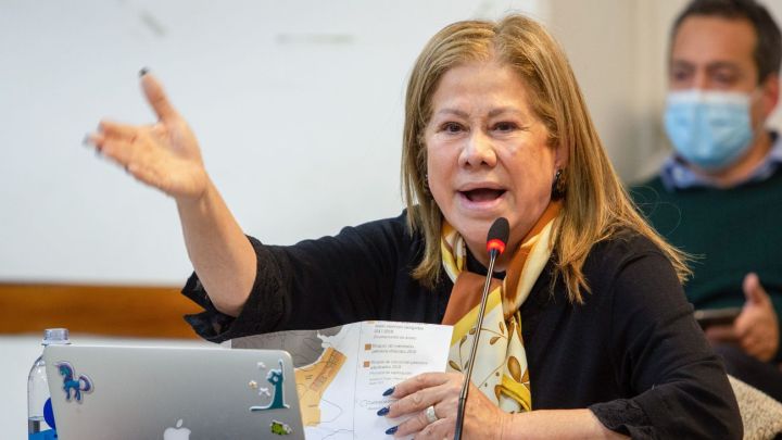 Graciela Camaño