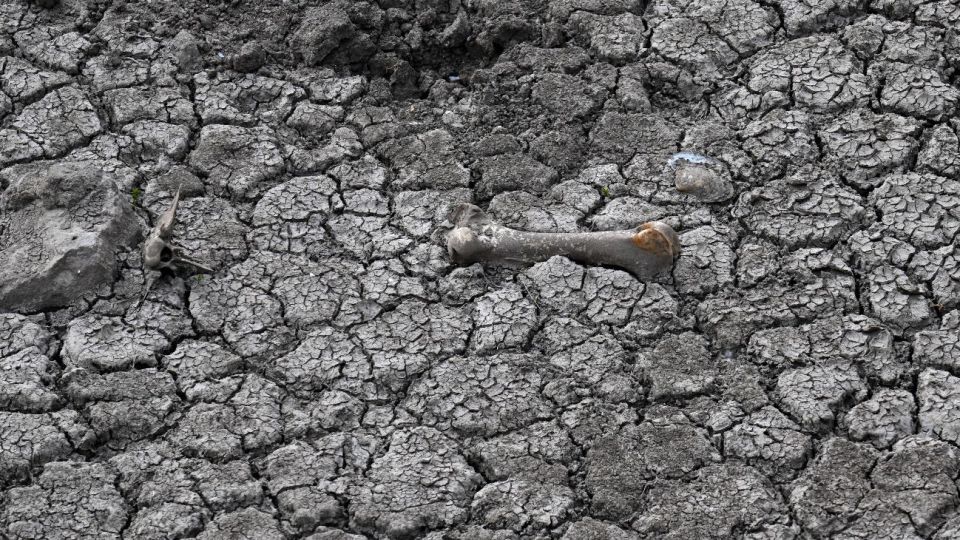 Argentina to face deeper 2023 contraction on drought, Itaú says