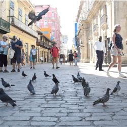 Imagen de turistas extranjeros caminando frente a una bandada de palomas en una plaza, en La Habana, capital de Cuba. Los cubanos esperan que este año más turistas chinos arriben al país y puedan ayudar a reanimar el Barrio Chino de La Habana y la economía del país caribeño. | Foto:Xinhua/Joaquín Hernández
