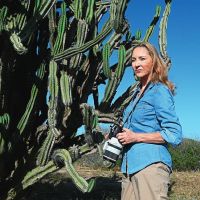 Todas las fotos de la mansión de Paola Marzotto en Punta del Este