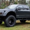 Ford F-250 MegaRaptor7