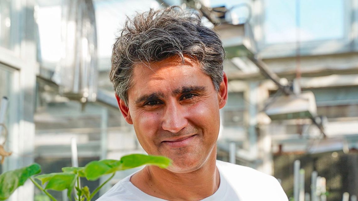 Moolec Science SA is inserting pork and beef genes into soybeans and peas to create hybrid proteins that are both plant- and animal-based, says Chief Executive Officer Gaston Paladini.