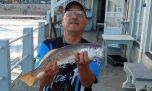 Cómo es la pesca en Mar del Plata