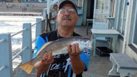 En pleno verano, Mar del Plata es el lugar ideal para practicar la pesca de mar.