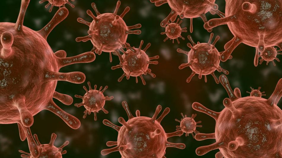 Virus respiratorio 20230124