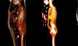 Así eran los amuletos que les colocaban a las momias egipcias