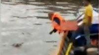 Un enorme cocodrilo aparece con el cuerpo de un niño ahogado sobre su espalda y se lo acerca a los rescatistas