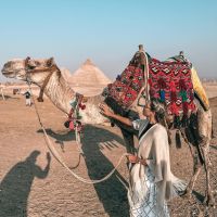 Alejandro Fantino y Coni Mosqueira mostraron las fotos de su luna de miel en Egipto