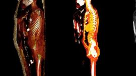 Los más increíbles símbolos de la suerte utilizados por las momias egipcias aún para eventos deportivos de la época.