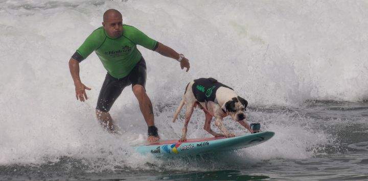Domingo Pianezzi, acompañado de su perro "Makakilo", surfea en la playa San Bartolo, en el sur de Lima, Perú.