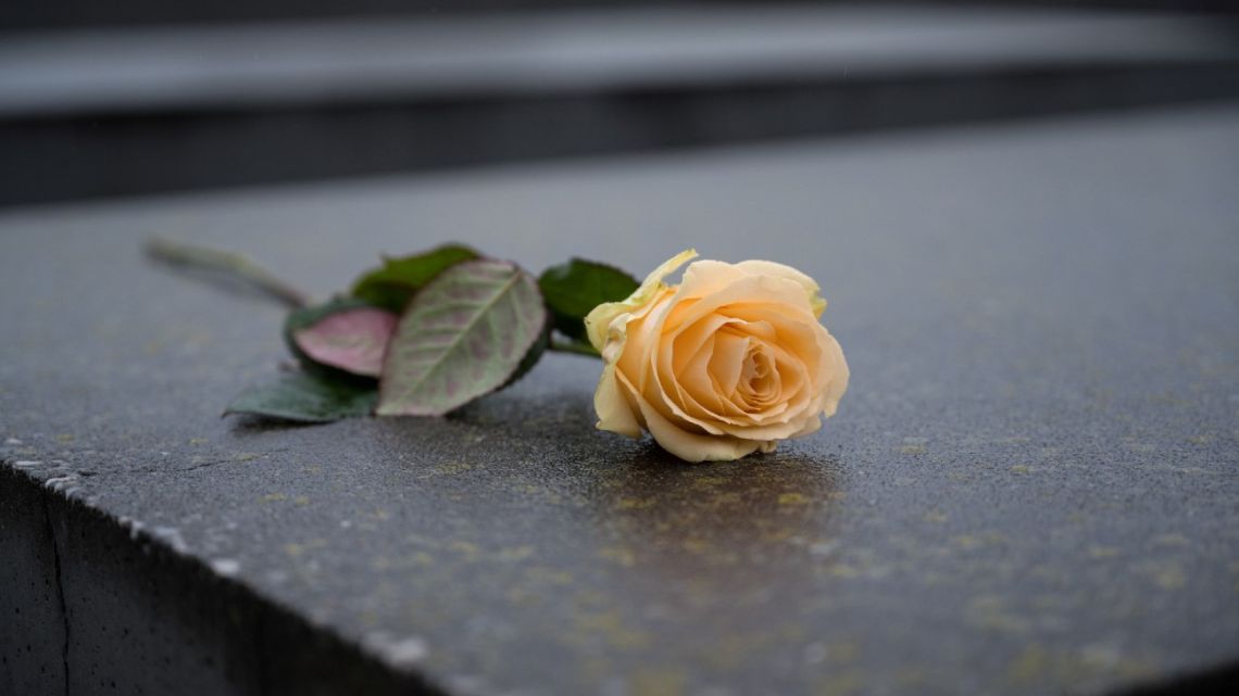 A rose has been placed on a memorial stele at The Memorial to the Murdered Jews of Europe, also known as The Holocaust Memorial, in Berlin, Germany on January 27, 2023, on International Holocaust Remembrance Day. 