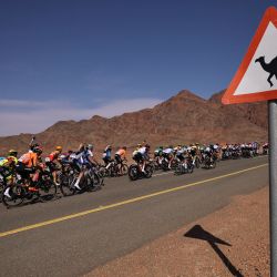 El pelotón circula durante la primera etapa del Tour Saudí 2023, desde el Aeropuerto Internacional de AlUla hasta Khaybar. | Foto:THOMAS SAMSON / AFP