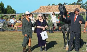 Lætitia d 'Arenberg y sus caballos: la Princesa y Gina Roemmers en la estancia