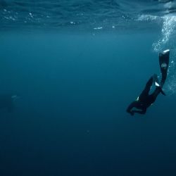 El francés Arthur Guerin-Boeri, cinco veces campeón del mundo de apnea, nada junto a una orca en el océano Ártico, en la isla de Spildra, al norte del Círculo Polar Ártico. | Foto:Olivier Morin / AFP