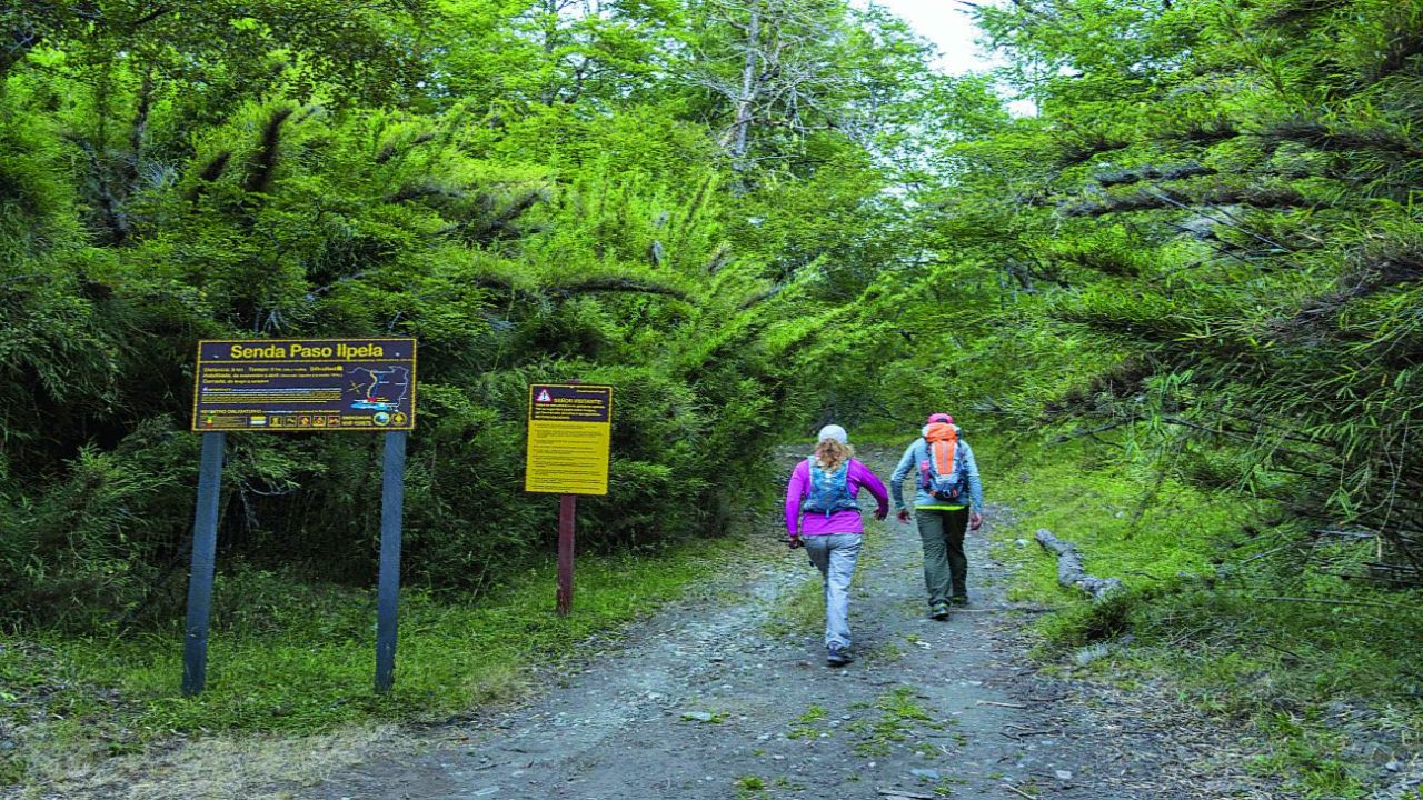 Trekking the path of Neruda in Patagonia