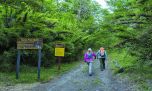Trekking por el camino de Neruda en la Patagonia