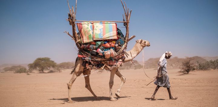 Un pastor camina con un camello que transporta sus mercancías en una zona a 30 kilómetros de la ciudad de Gode, Etiopía.