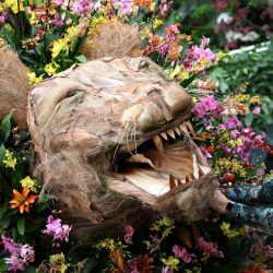 El maestro florista Henck Roling posa con una muestra de orquídeas durante un photocall para el Festival de Orquídeas de Kew: Camerún, en el Conservatorio Princesa de Gales del Real Jardín Botánico de Kew, al oeste de Londres. | Foto:DANIEL LEAL / AFP