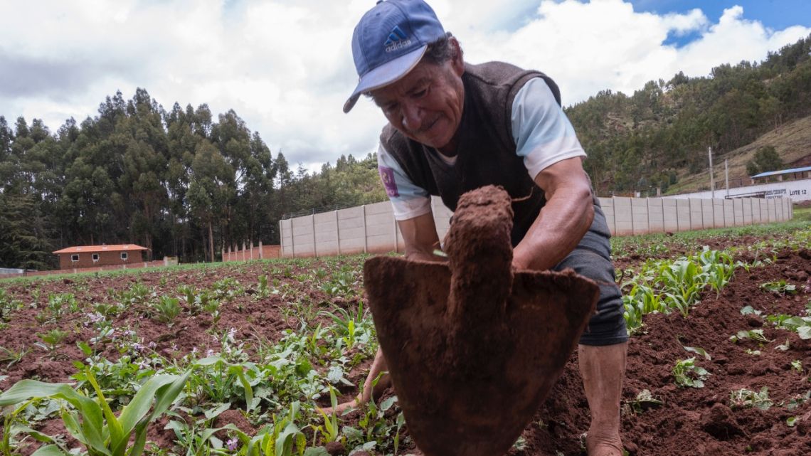 Self sustained agricultor Ruben Gutierrez, 63, works on his plot of land on the outskirts of the village of Poroy, in the Cusco province, Peru on January 30, 2023.