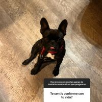 Charlotte Caniggia se sinceró sobre la relación con sus papás: "Cuando se separaron me dieron la espalda"