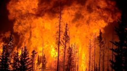 Incendios en Chile: muertos, evacuados y zonas devastadas