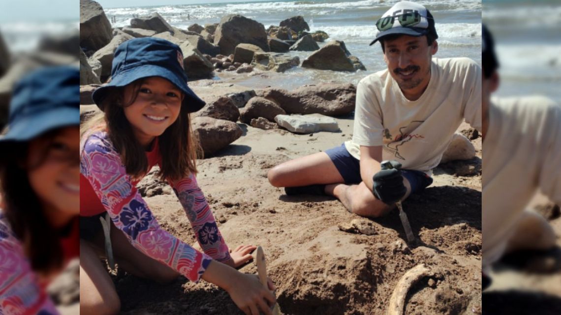A girl found remains of two glyptodons, the prehistoric animal that caught Darwin’s attention