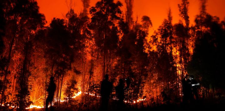 Personas luchan contra un incendio en Purén, región de la Araucanía, Chile. - Al menos 23 personas han muerto en cientos de incendios forestales provocados en medio de una ola de calor abrasador en el centro sur de Chile.